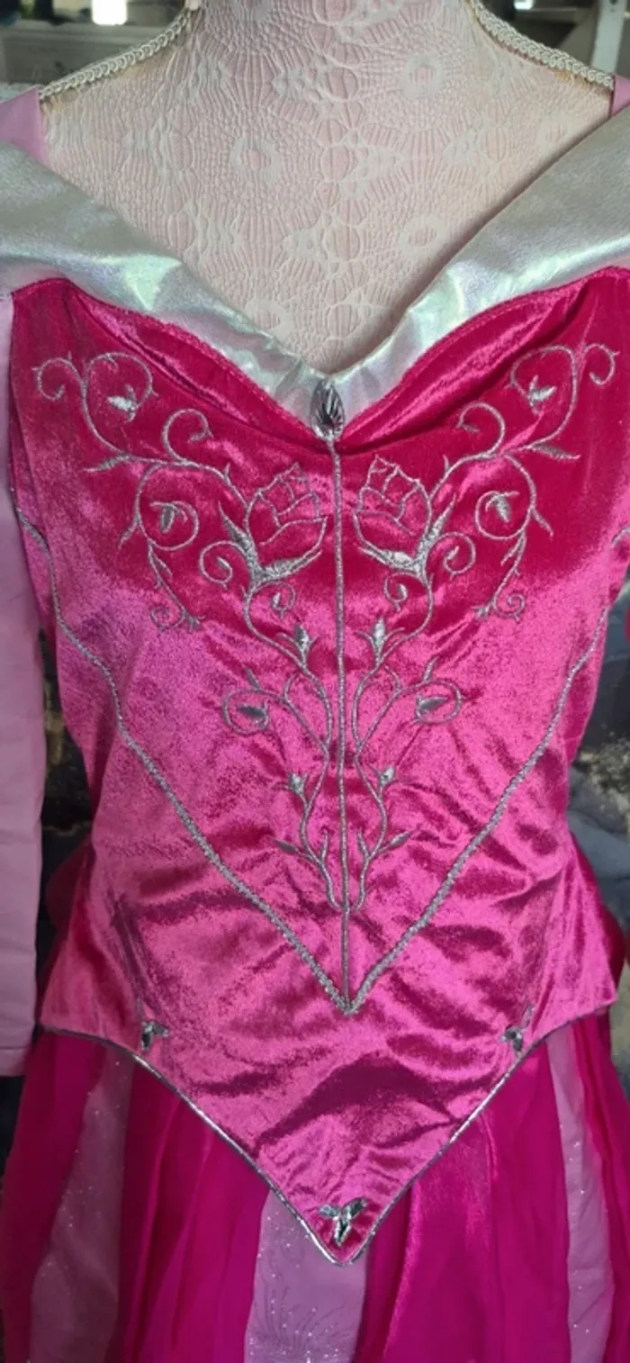 Robe princesse disney - photo numéro 7