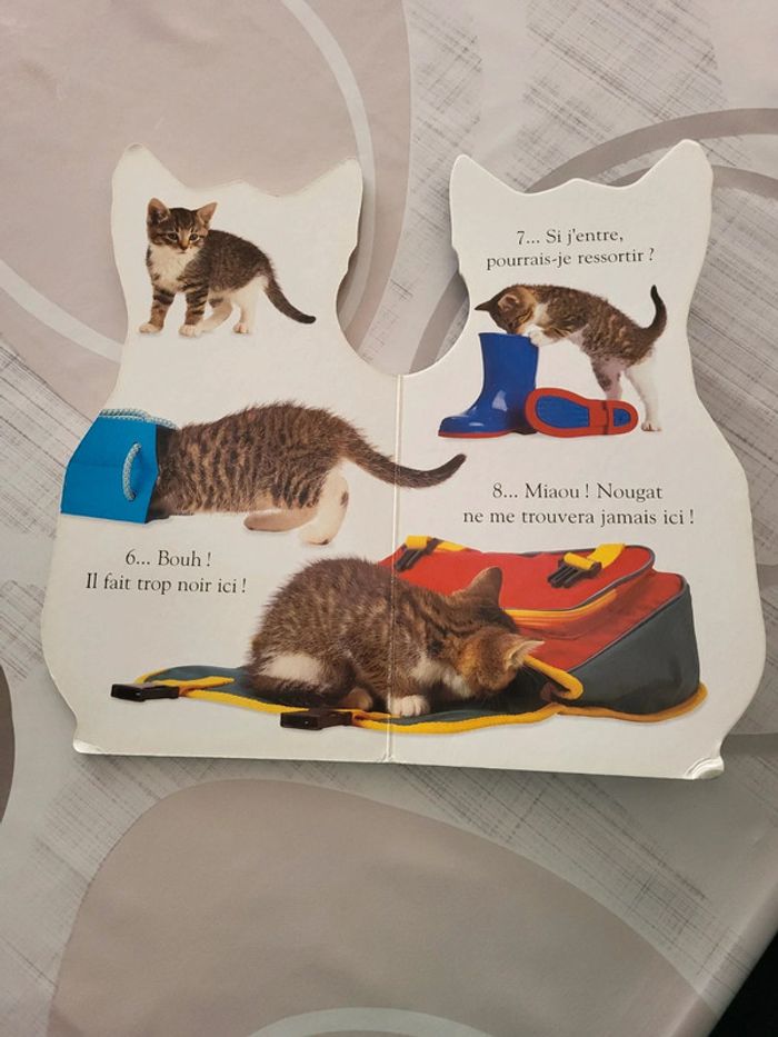 Livre chat - photo numéro 3