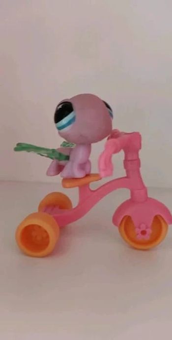 Pet shop libellule vélo tricycle