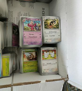 Lor d'environ 1000 cartes pokemon