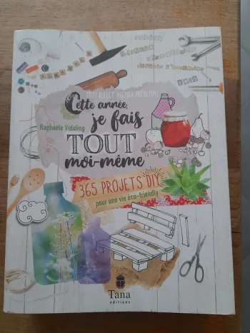Livre cette année je fais tout moi même