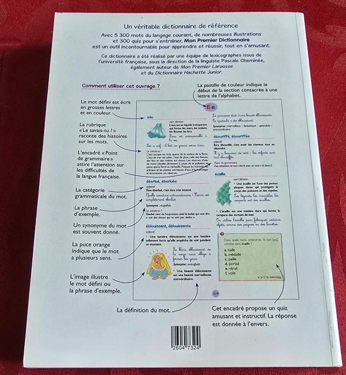 Mon 1er dictionnaire - photo numéro 2