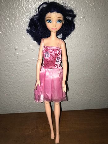 Poupée miraculous