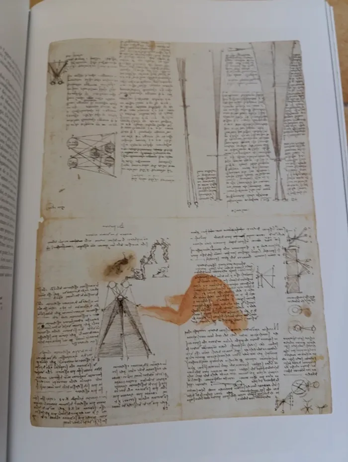 Livre de collection Léonard de Vinci "Tout l'œuvre peint et graphique" Taschen - photo numéro 7