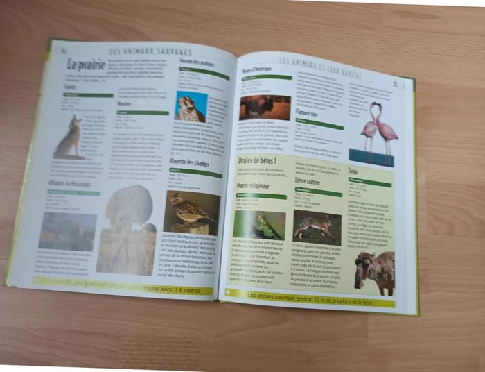 Lot 5 livres sur les animaux 🛑 - photo numéro 8