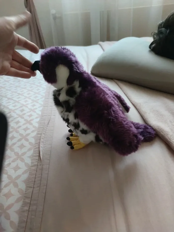 Peluches - photo numéro 2