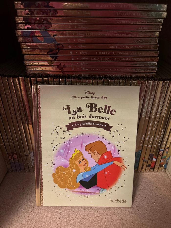 Livres Disney, mes petits livres d’or la Belle au bois dormant