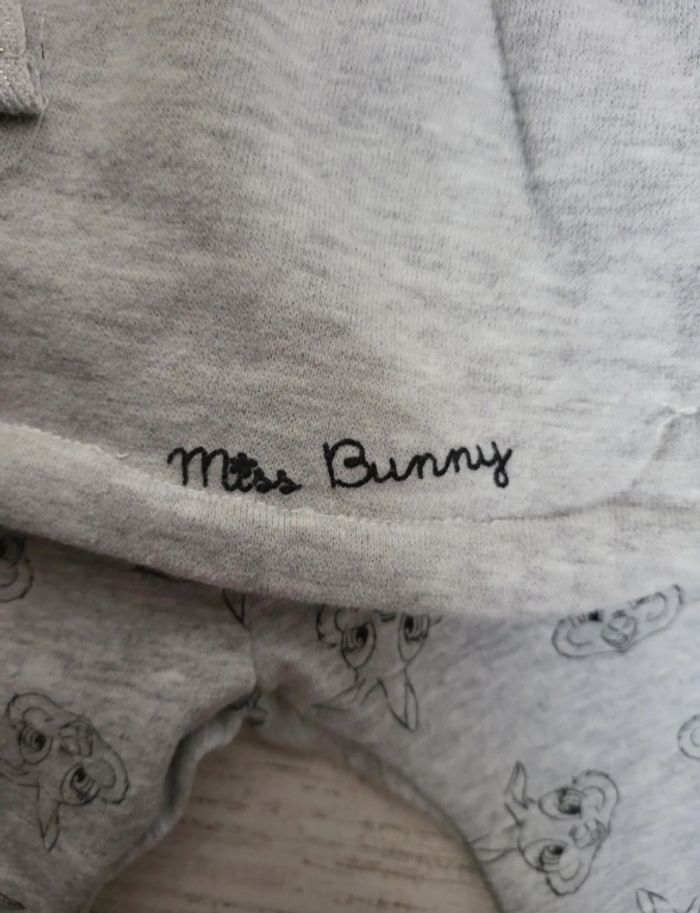 Ensemble bébé fille 1 mois disney peu porté - photo numéro 5