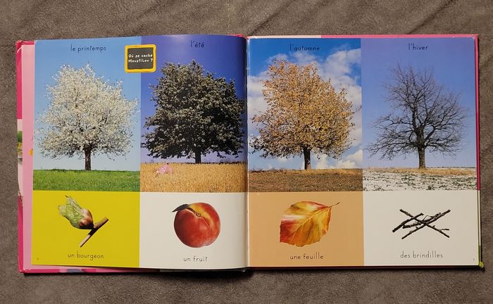 L'imagerie photos des saisons avec Moustilou la souris - Sélection du Comité des mamans Hiver 2003 ( - photo numéro 2