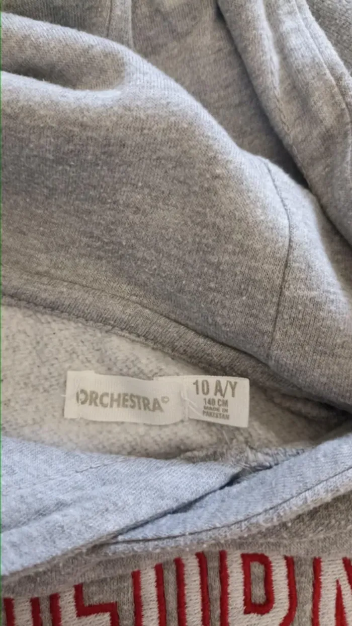 pull type sweat à capuche 10 ans Orchestra gris bon état - photo numéro 2