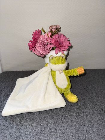 Doudou grenouille 