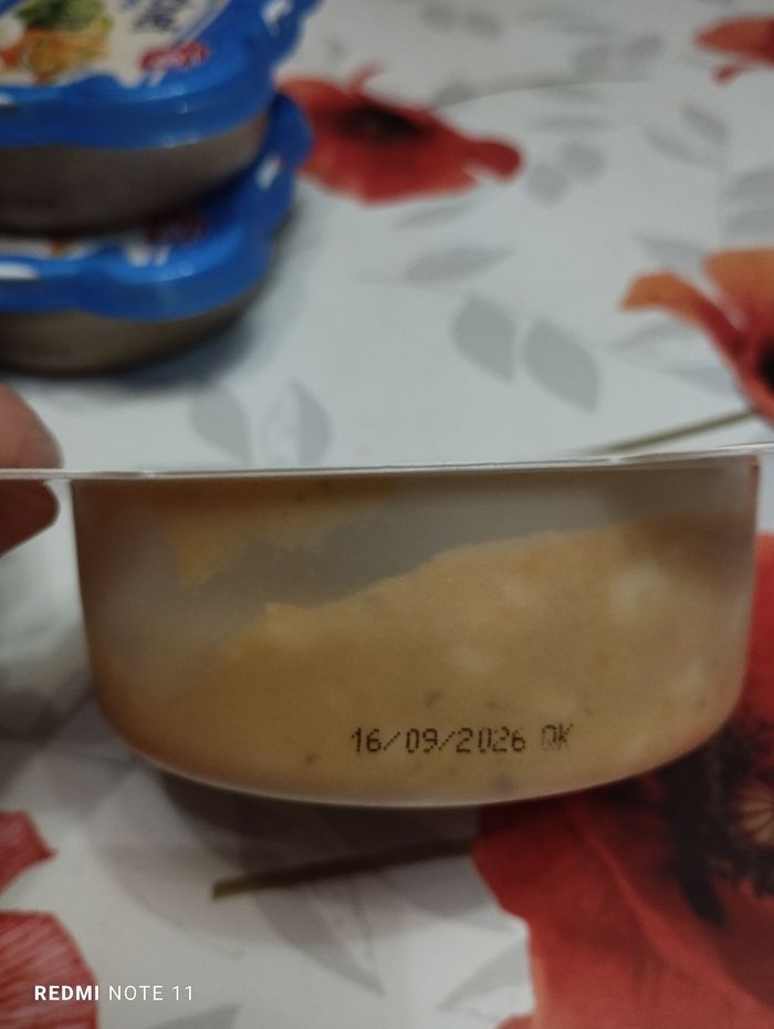 Plat pour le midi - photo numéro 4