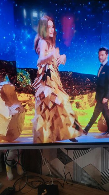 Robe les enfoirés carla bruni