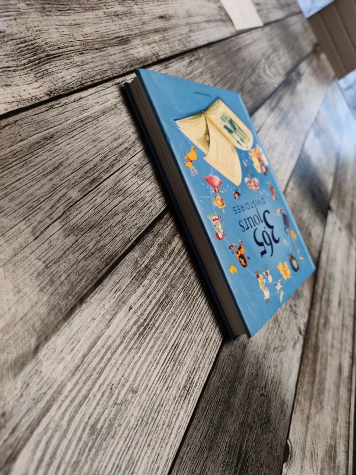 365 jours d'histoire - photo numéro 3