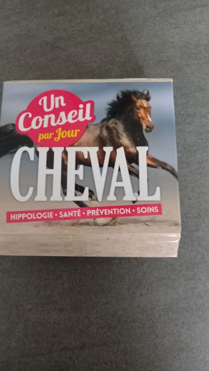 Un conseil par jour cheval