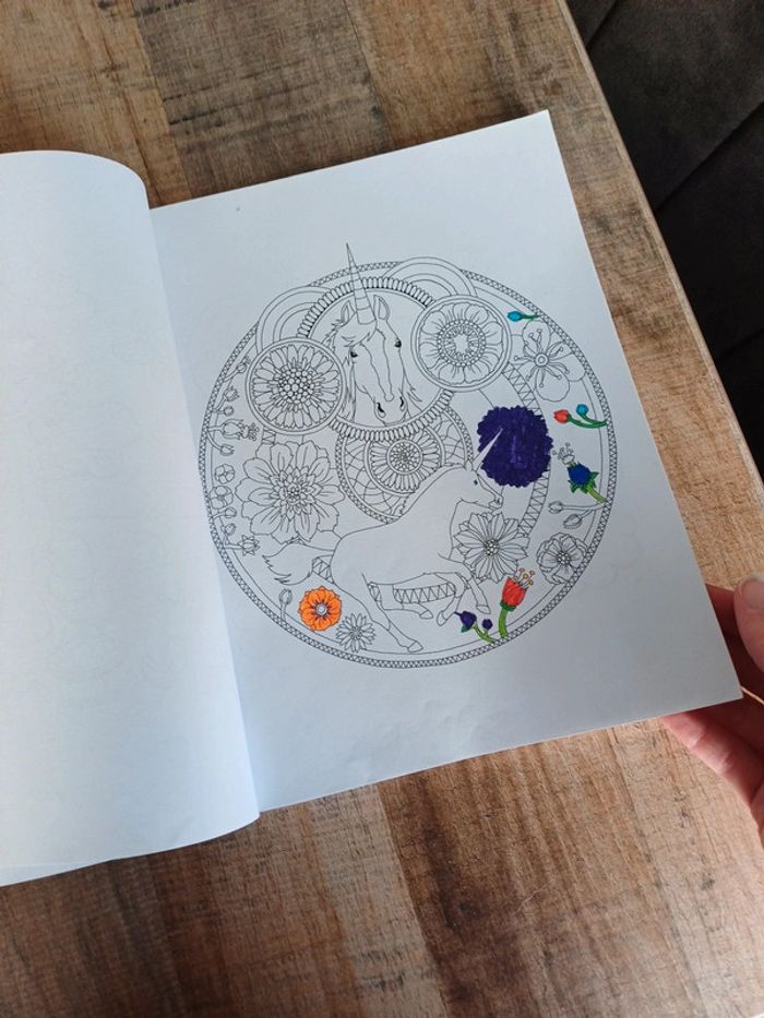Libre de coloriage Licorne mandala et autres. - photo numéro 6