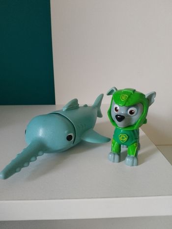 Rocky aqua pups