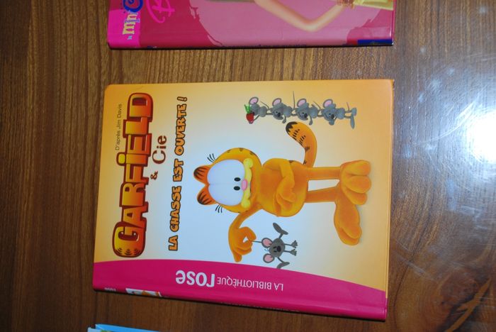 Lot livre - photo numéro 4