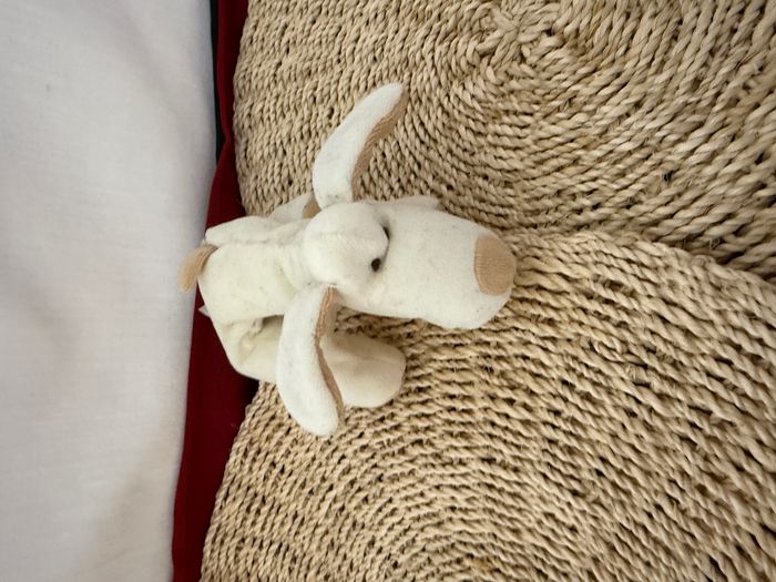 Doudou chien beige Tiamo -