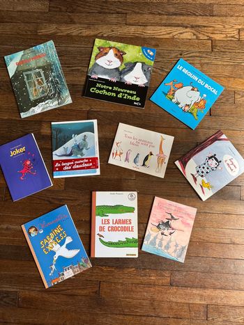 Lot 10 livres l’école des loisirs