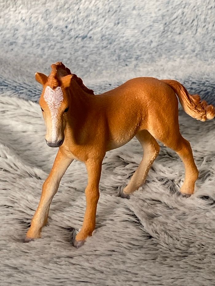 Jument est Poulin shleich - photo numéro 3