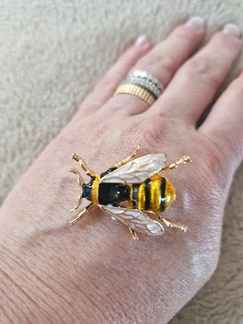 Broche bijou insecte dorée et peinte