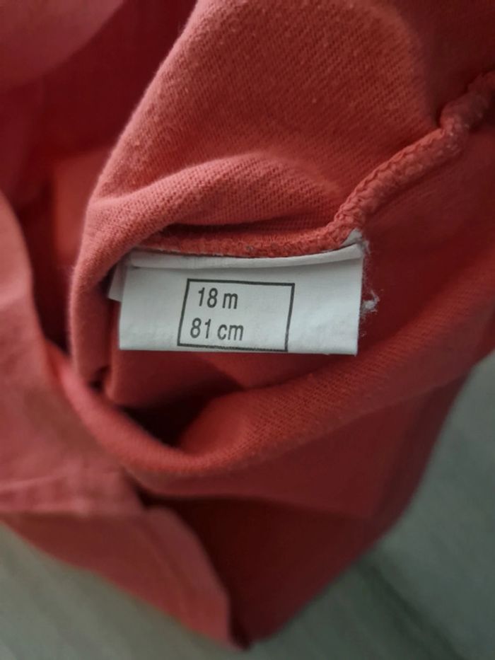 Tee shirt - photo numéro 4