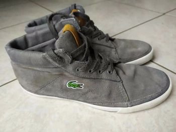 Baskets Lacoste gris