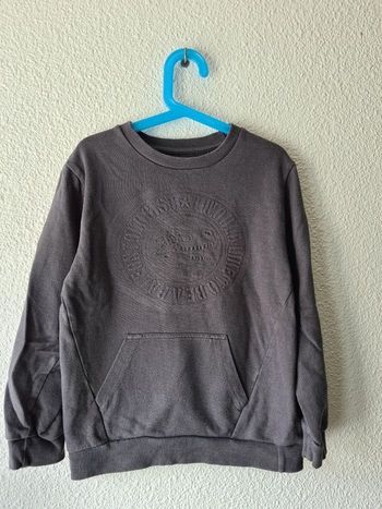 pull gris dinosaure Gemo