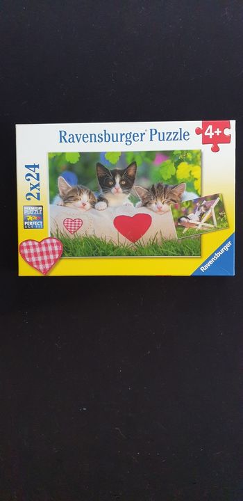 Puzzle chat 2×24 pièces