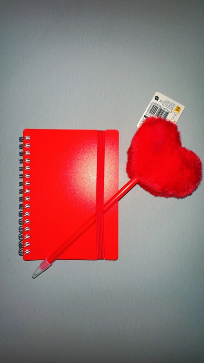 Note Book Stylo Cœur Rouge New - photo numéro 2