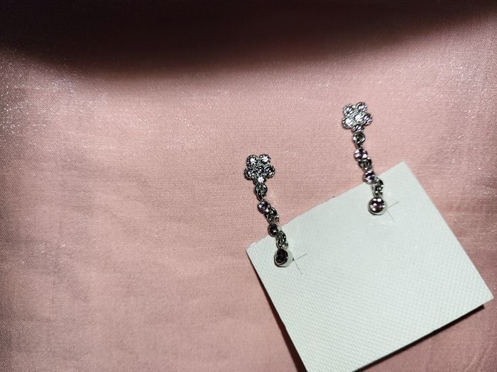 B oreilles pendanres - photo numéro 3