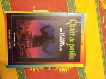 Livre chair de poule n°25 le parc de l'horreur.