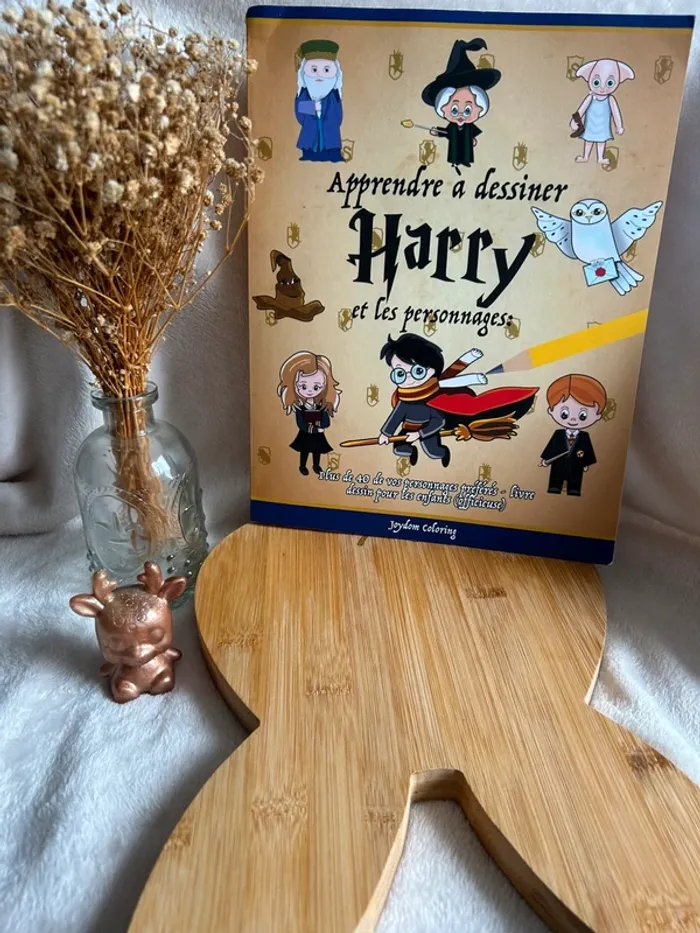 📚 Livre “Apprendre à dessiner Harry Potter et les personnages”