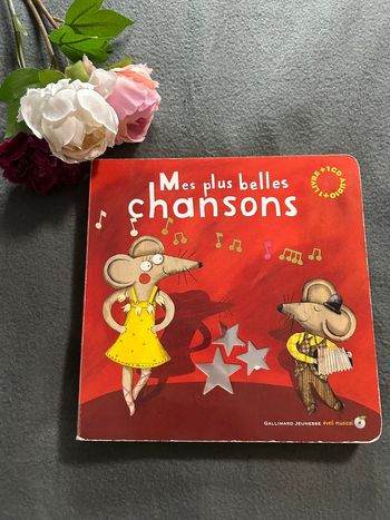 Livre mes plus belles chansons avec cd