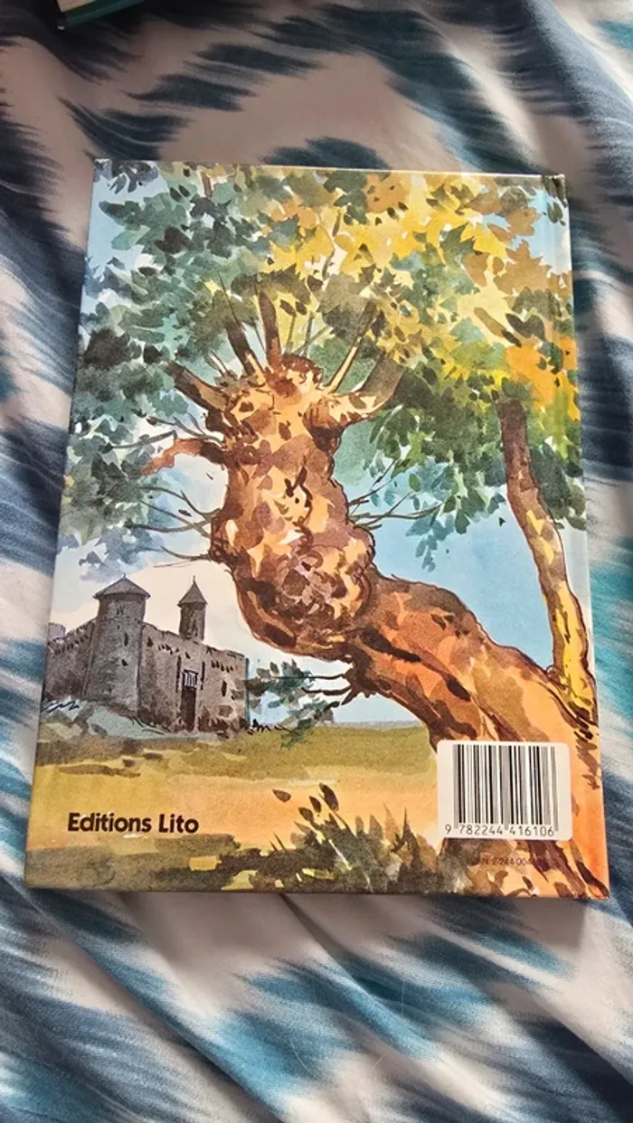 Les aventures de Robin des Bois - photo numéro 2