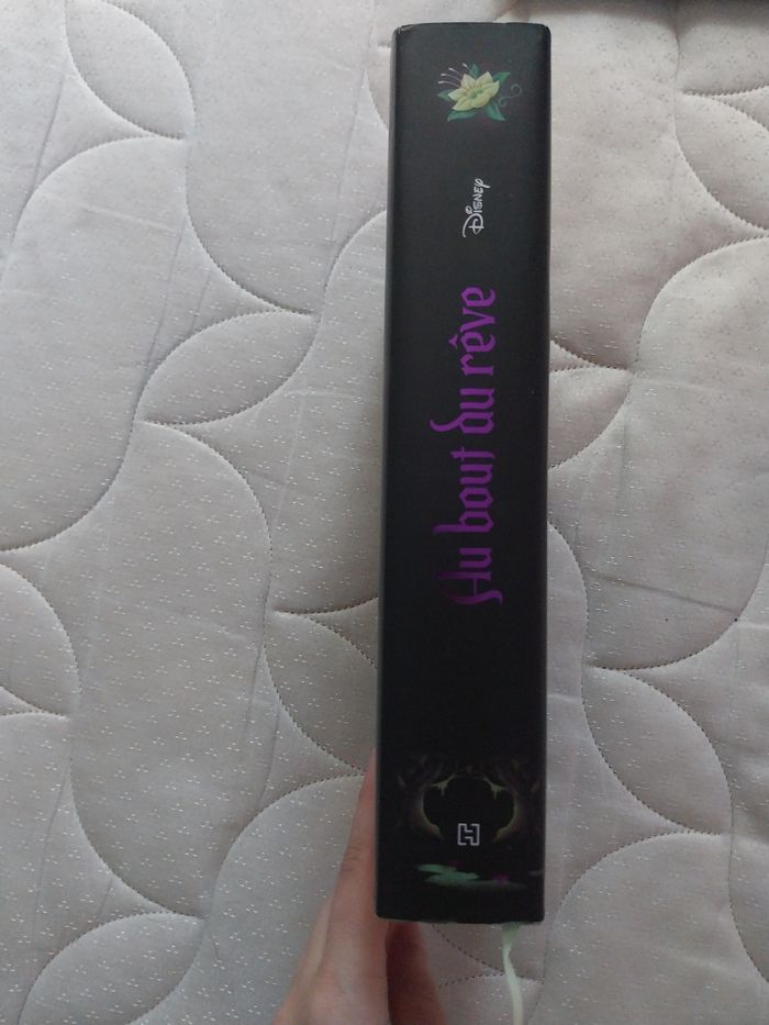 Roman Au Bout du Rêve Tiana Twisted Tale Relié Collector jaspage - photo numéro 3