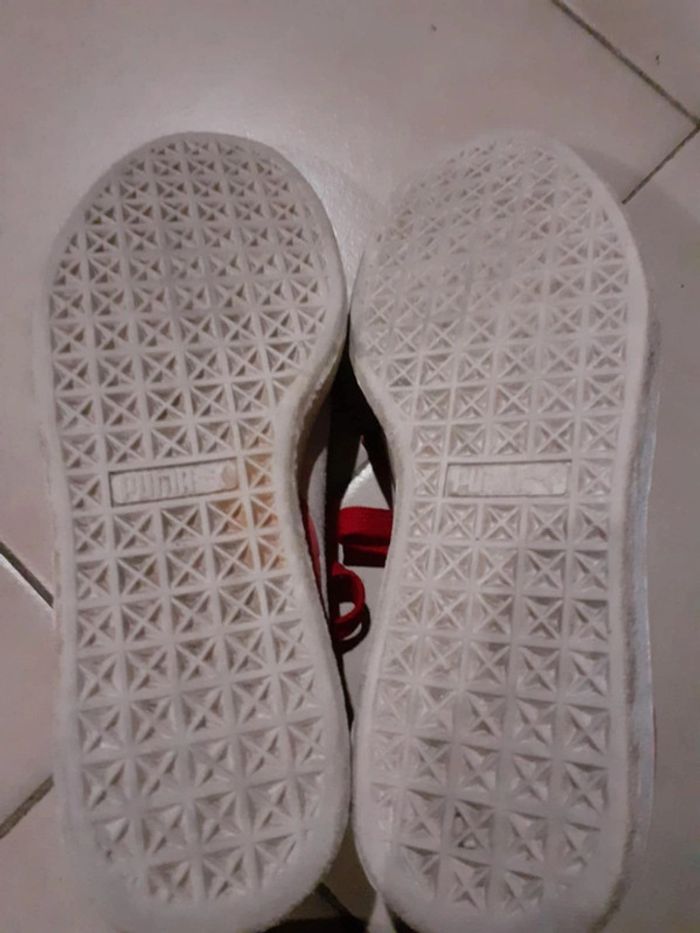 Baskets puma - photo numéro 2