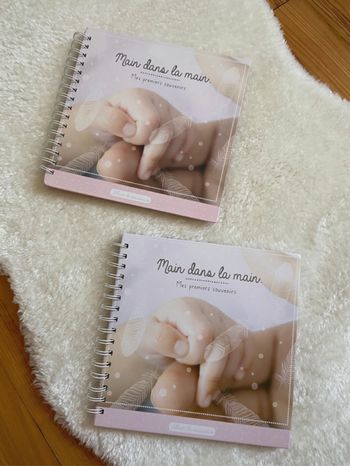 Lot de 2 albums photo