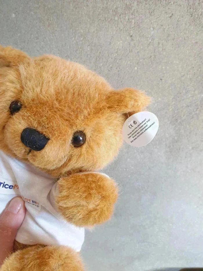 Idée cadeau 🎁 - Ours en peluche collector neuf avec etiquette - photo numéro 3