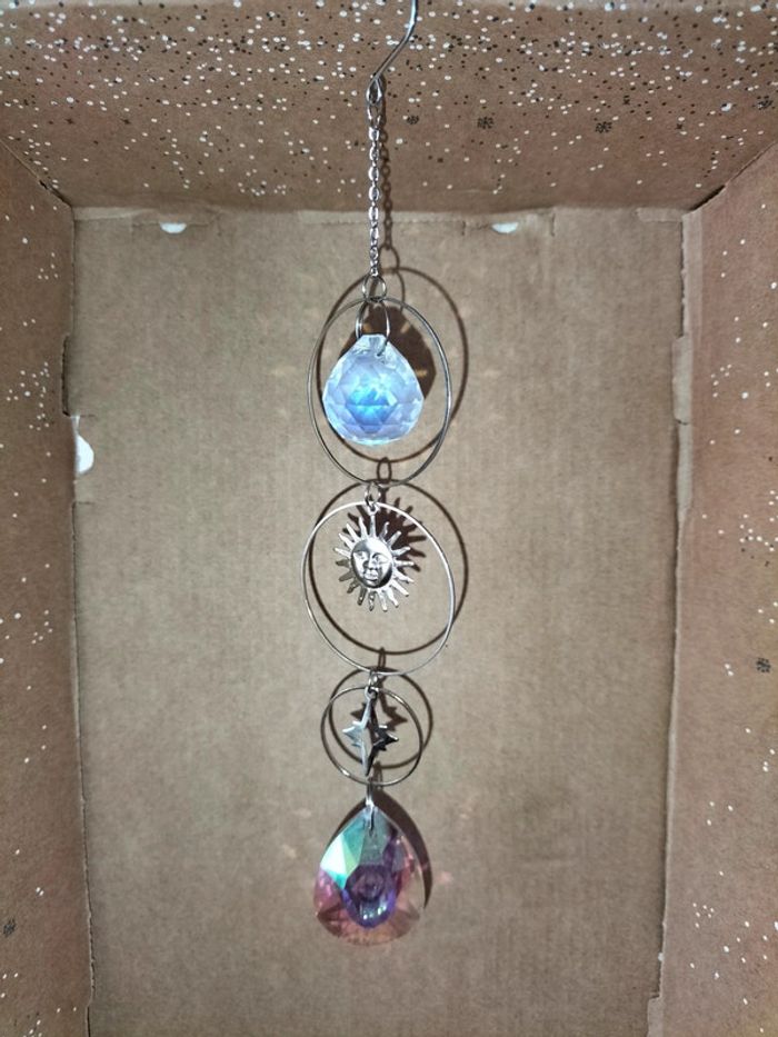 Grand attrape soleil - photo numéro 6