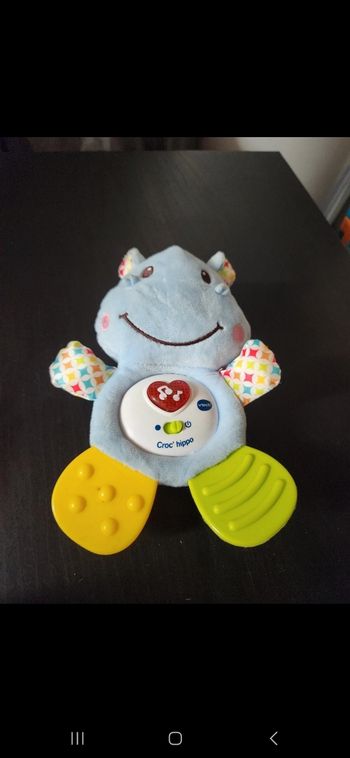 Croc hippo