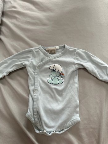 Body dinosaure