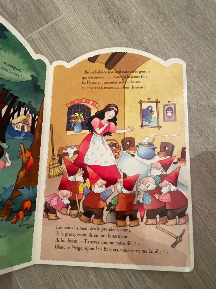 Conte Blanche Neige - photo numéro 2