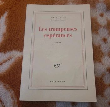 Les trompeuses espérances
