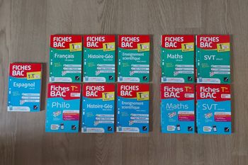 Fiches BAC