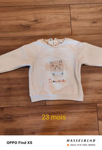 Pull polaire