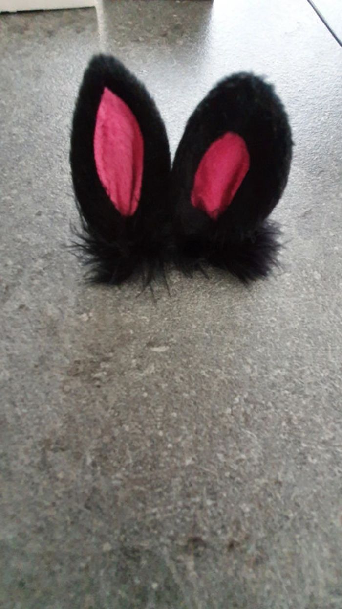 Pinces à cheveux oreilles de lapin