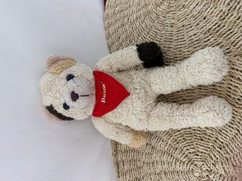 doudou chat tache beige marron bandana flocazor