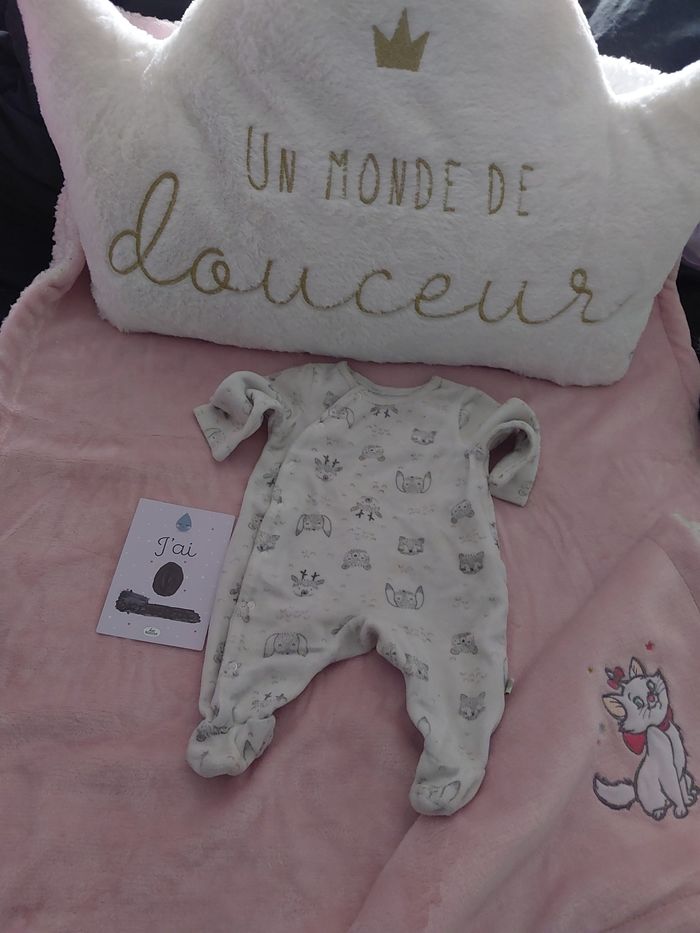 Lot naissances - photo numéro 4